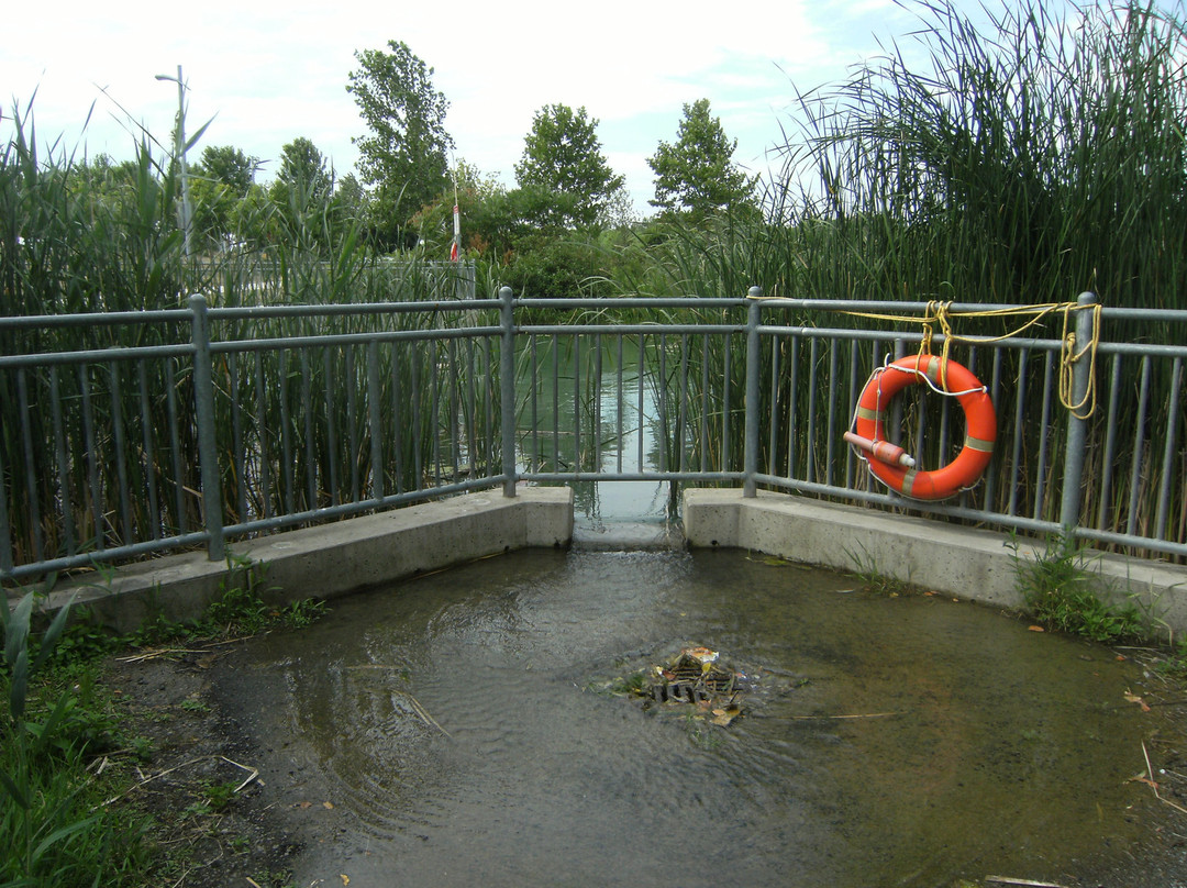 Lakeside Park-米西索加必去景点