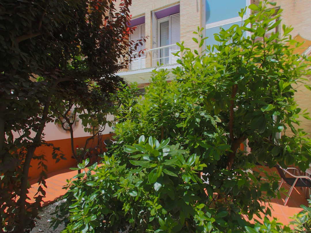 B&B Domus Atilia主图