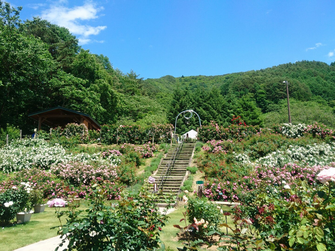 Takato Shinwa no Oka Rose Garden景点图片