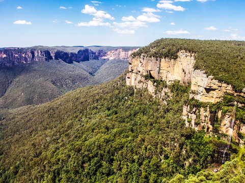 Wildlife Tours Australia-悉尼必去景点