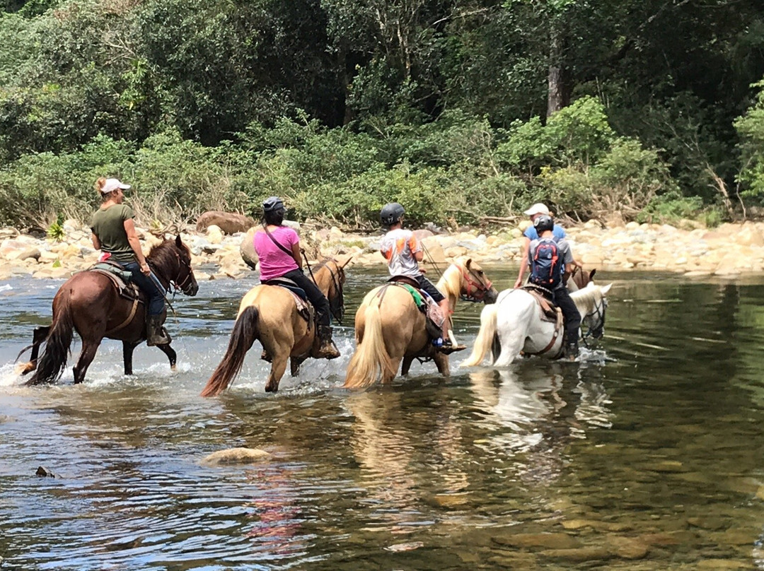 Horseback Panama Adventure Tours景点图片