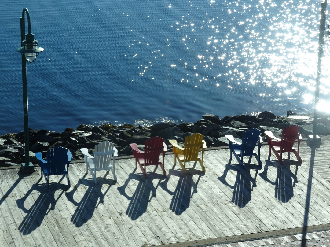 哈利法克斯万豪港湾酒店主图