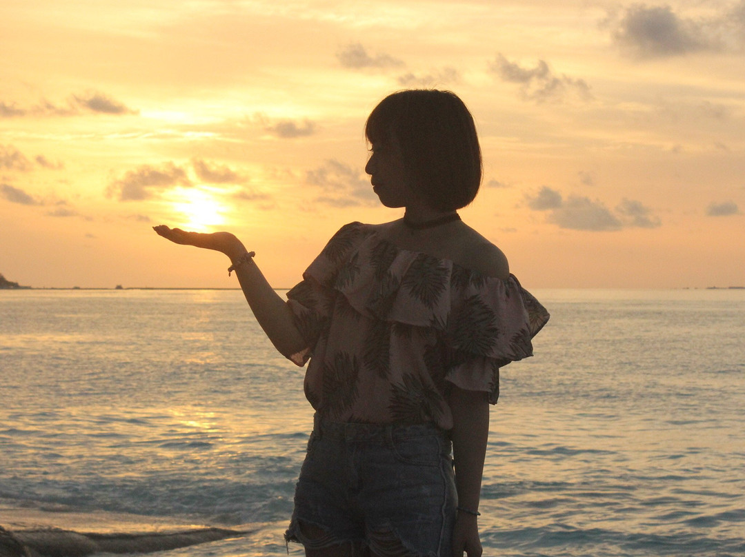 阳光岛别墅公园主图