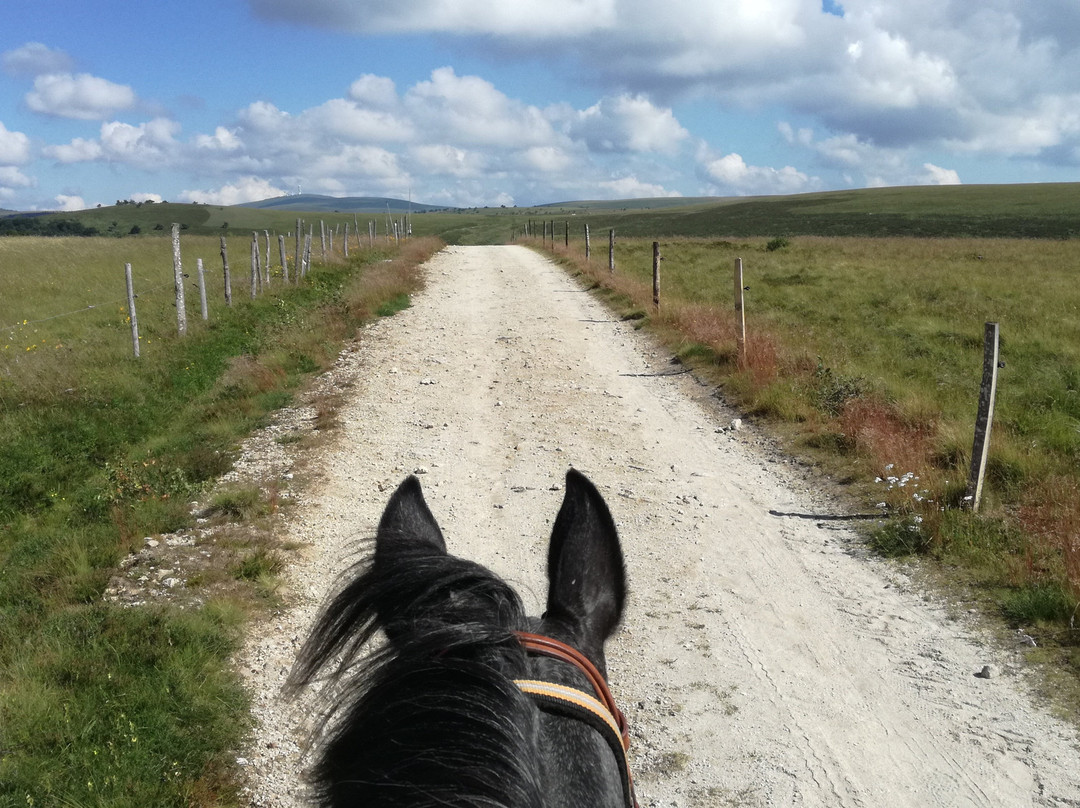 Ferme Equestre de Montcodiol景点图片