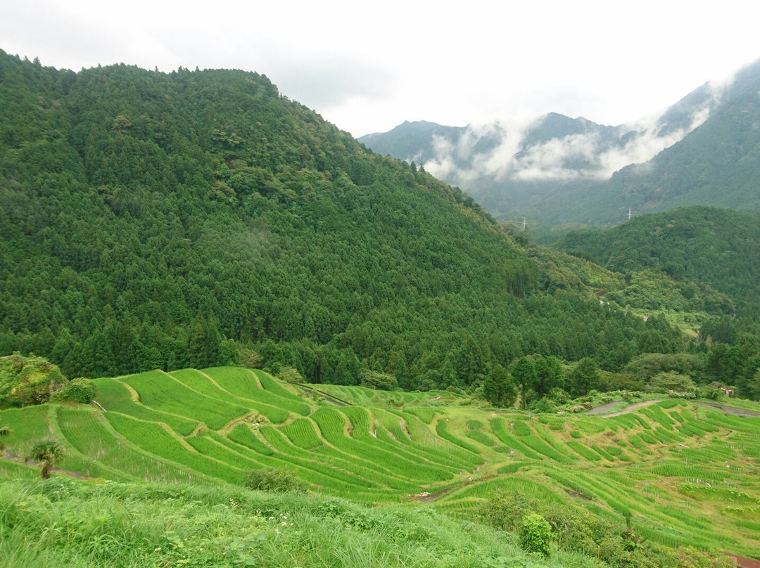 Maruyama Senmai Rice Field景点图片