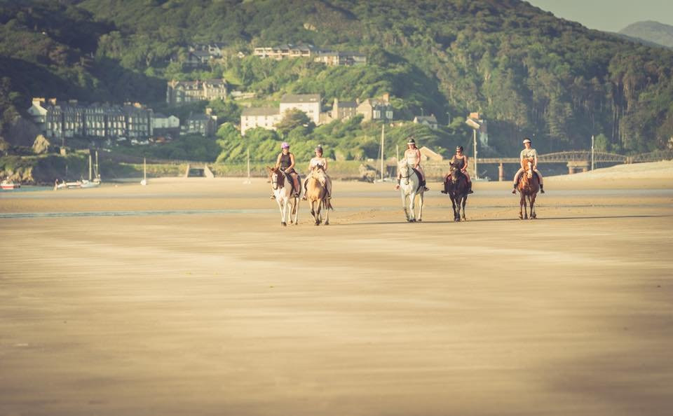 Pony Trekking at Bwlchgwyn Farm景点图片