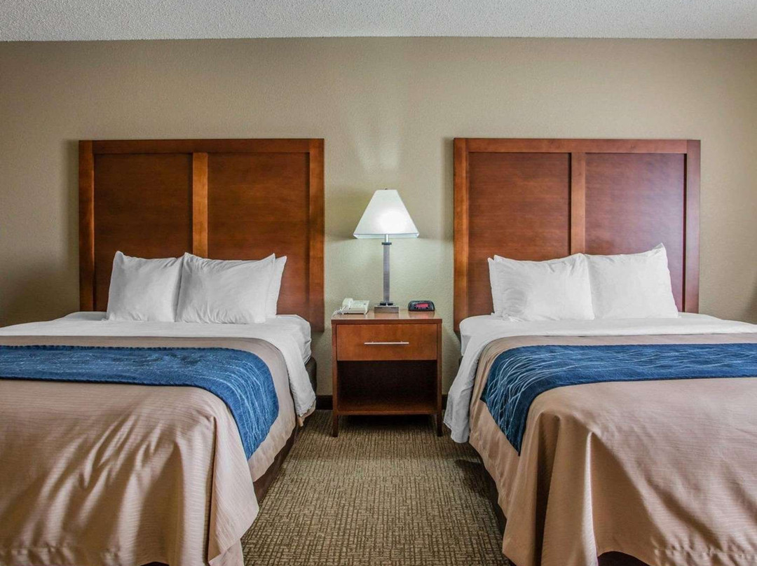 Comfort Inn Suites Jackson - West Bend主图