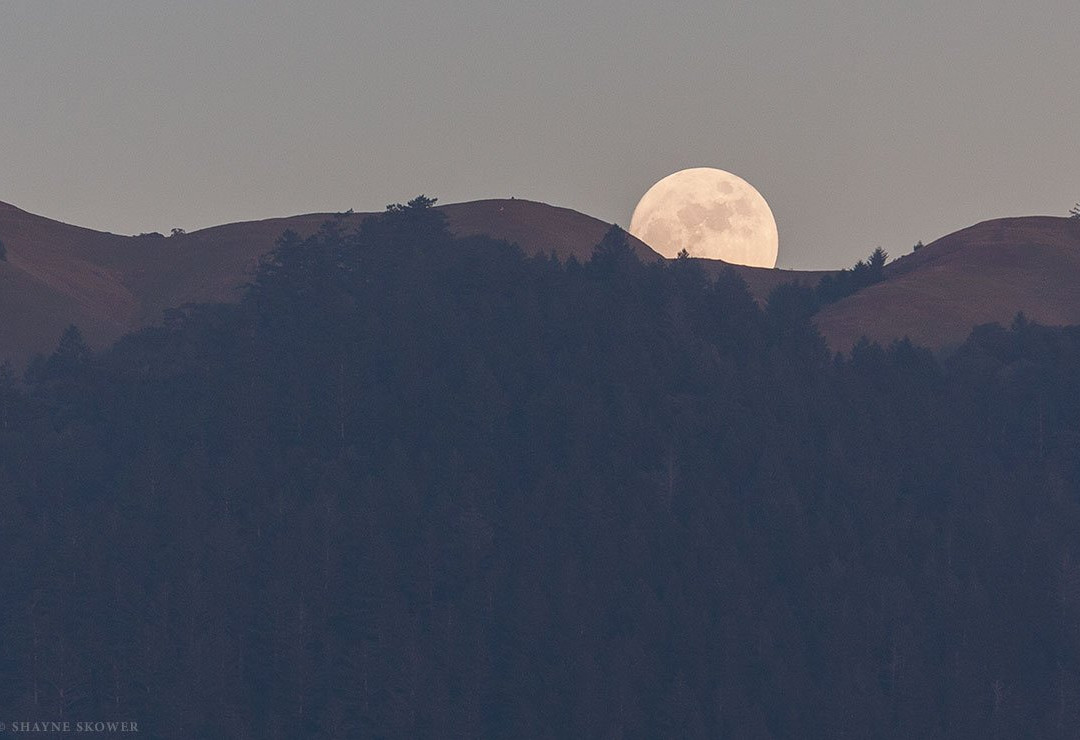 Shayne Skower Fine Art Photography-Bolinas必去景点