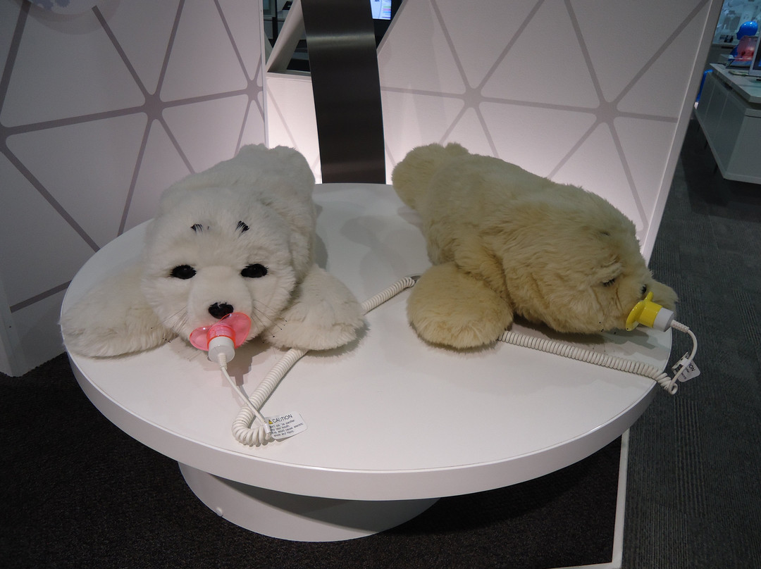 Science Square TSUKUBA-筑波市必去景点