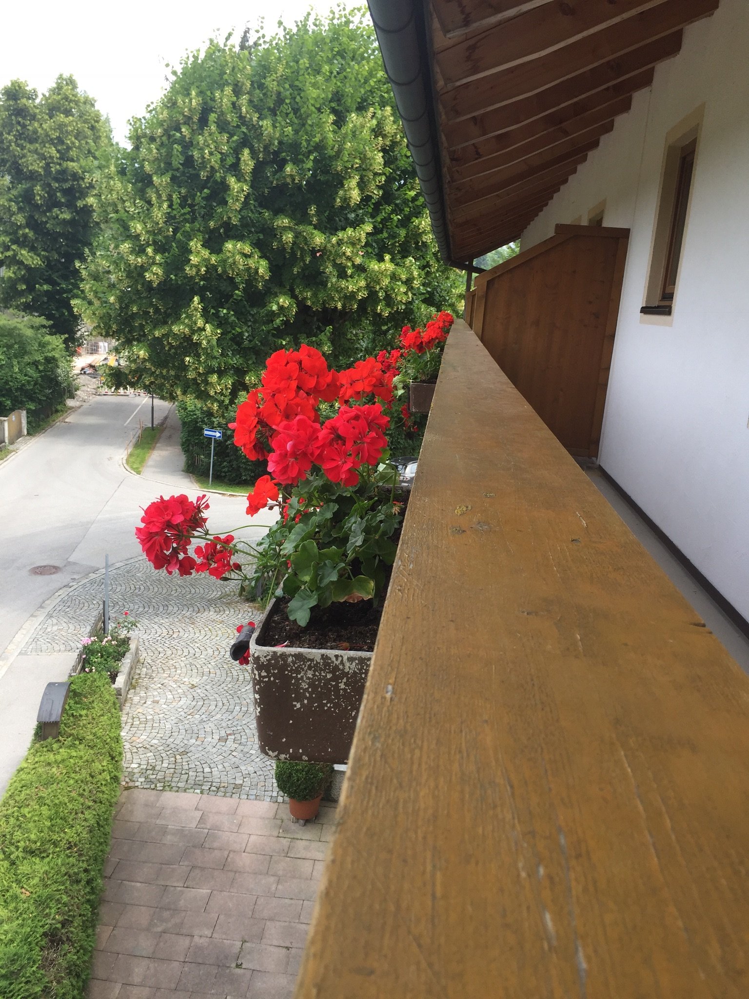 Hotel Geiger-酒店景观