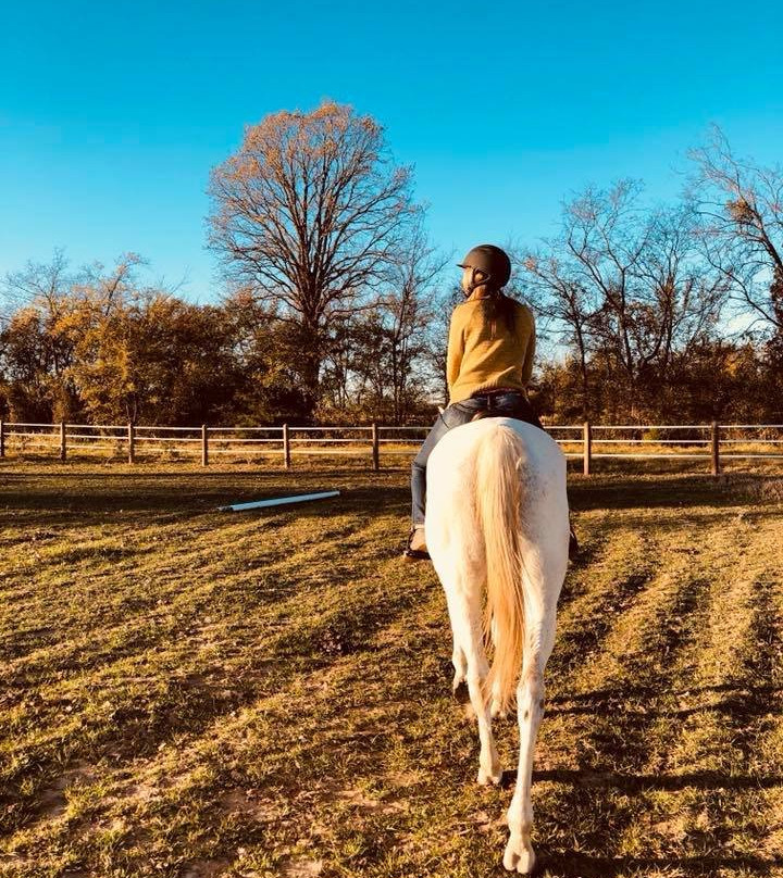 Lake Fork Stables-Yantis必去景点