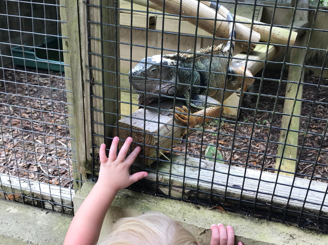 Smooth Waters Wildlife Park-De Leon Springs必去景点