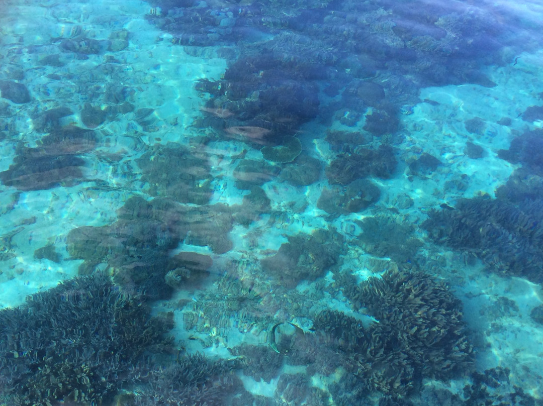 Pink Beach-科莫多必去景点