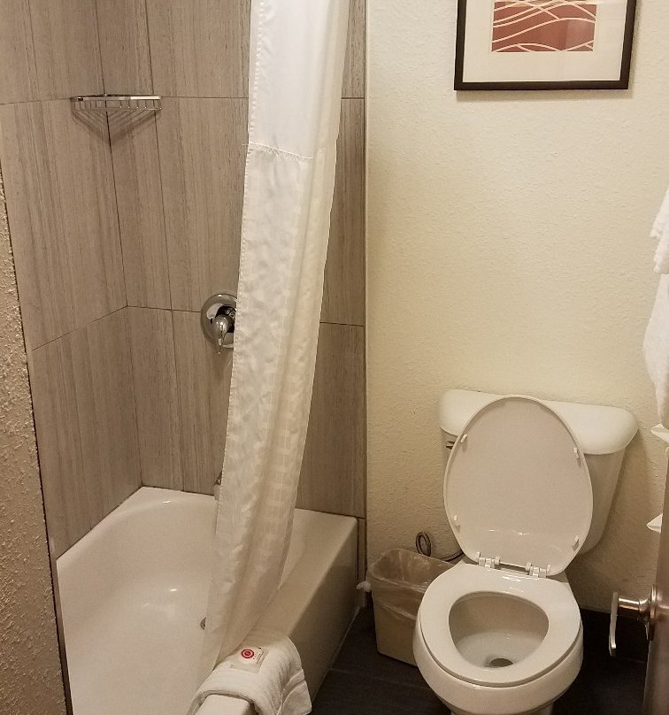 Comfort Inn Mayfield Heights Cleveland East主图