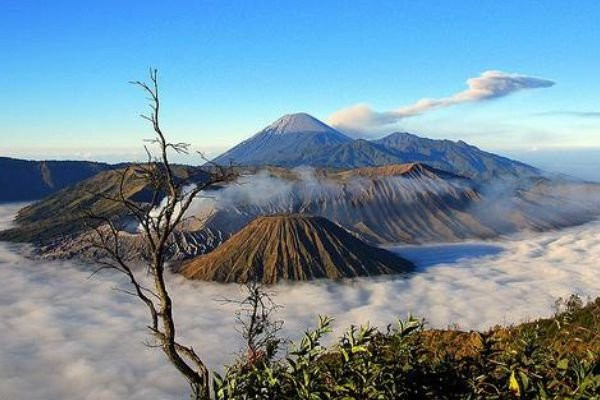 Open Trip Menjangan Tabuhan-巴纽旺宣必去景点