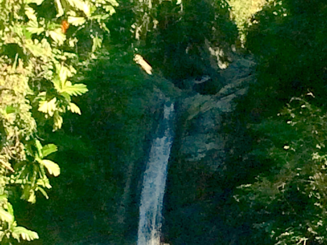 Catarata Salto de Collores-Juana Diaz必去景点