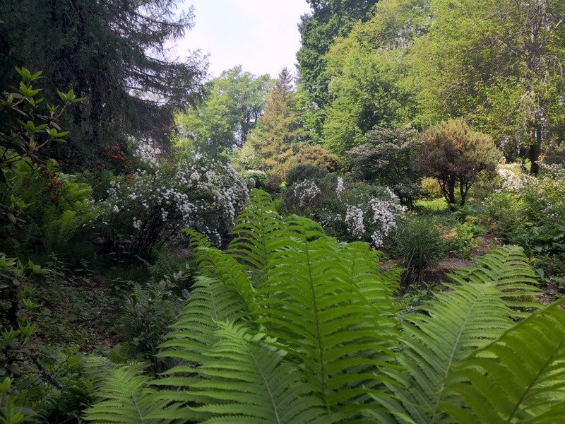Parc de la Gaudiniere景点图片