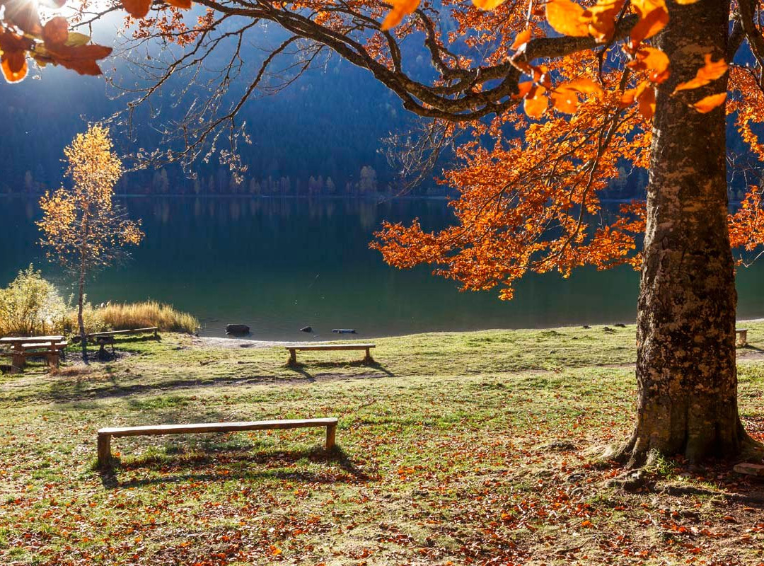 Transylvania Tourism-布拉索夫必去景点