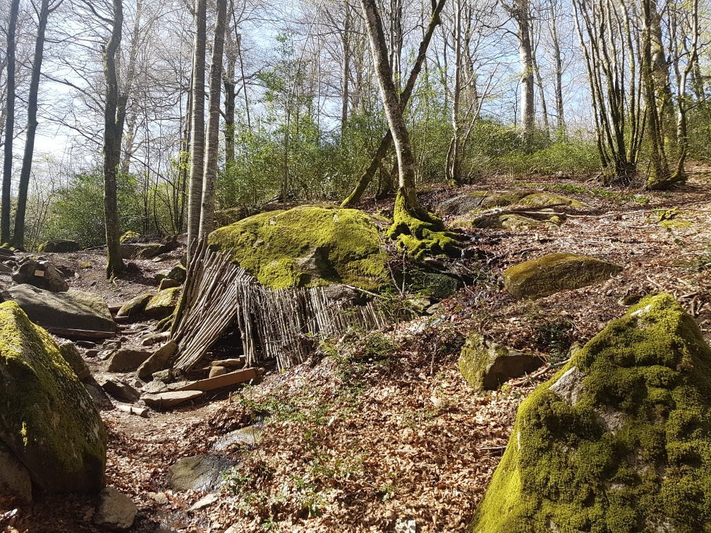 Sentier de Decouverte "Sur les Traces de l'Enfant Sauvage"景点图片