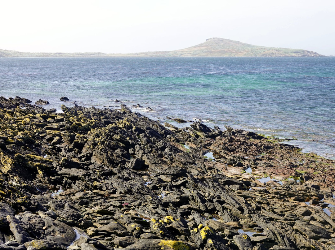 Carcass Island景点图片