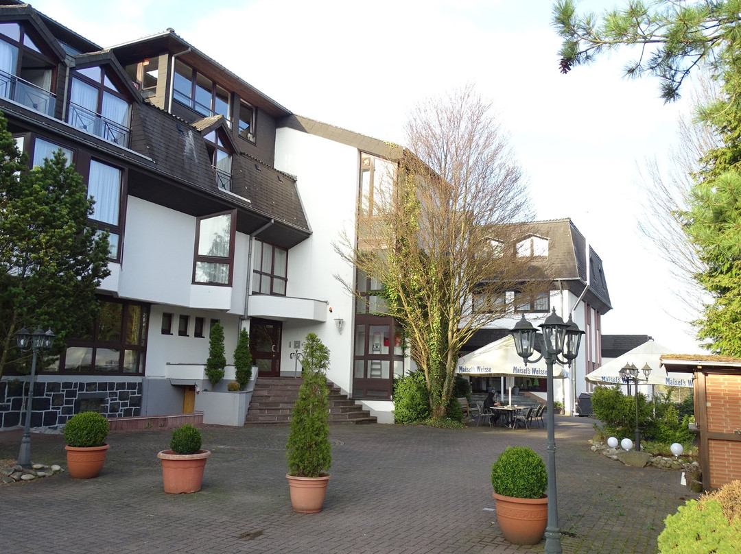 Hotel Tannenhof Haiger主图