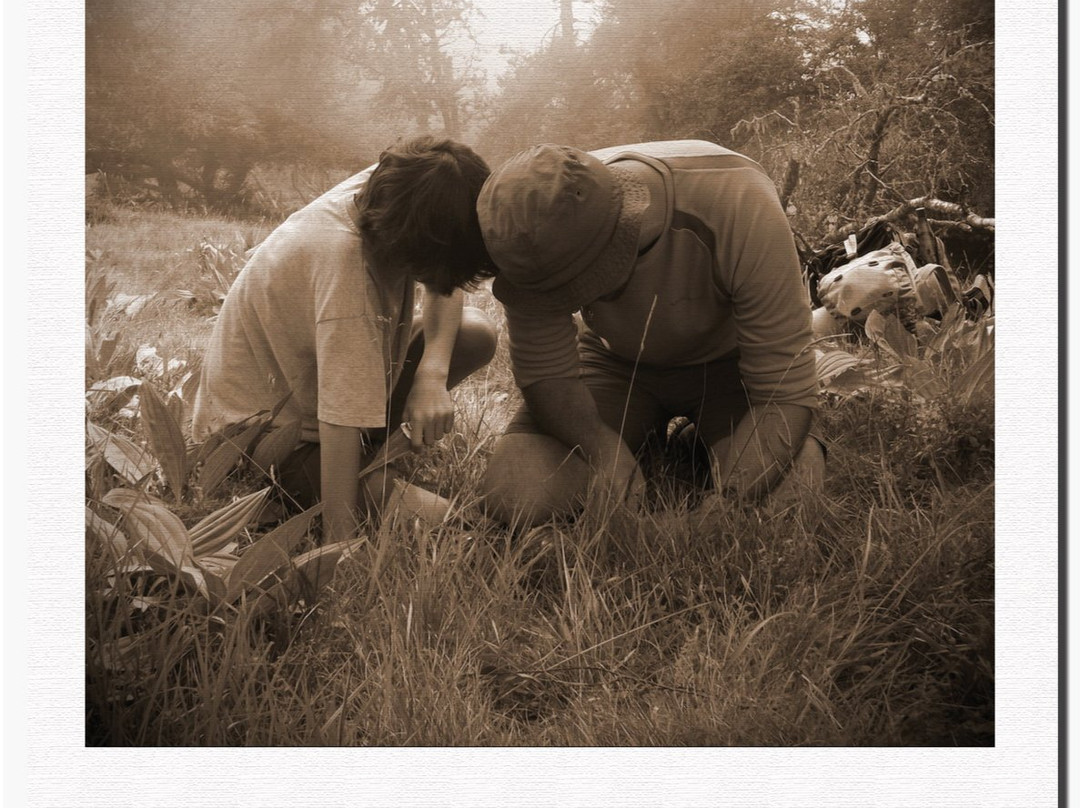 Bureau des Guides de Luchon-巴涅尔-德吕雄必去景点