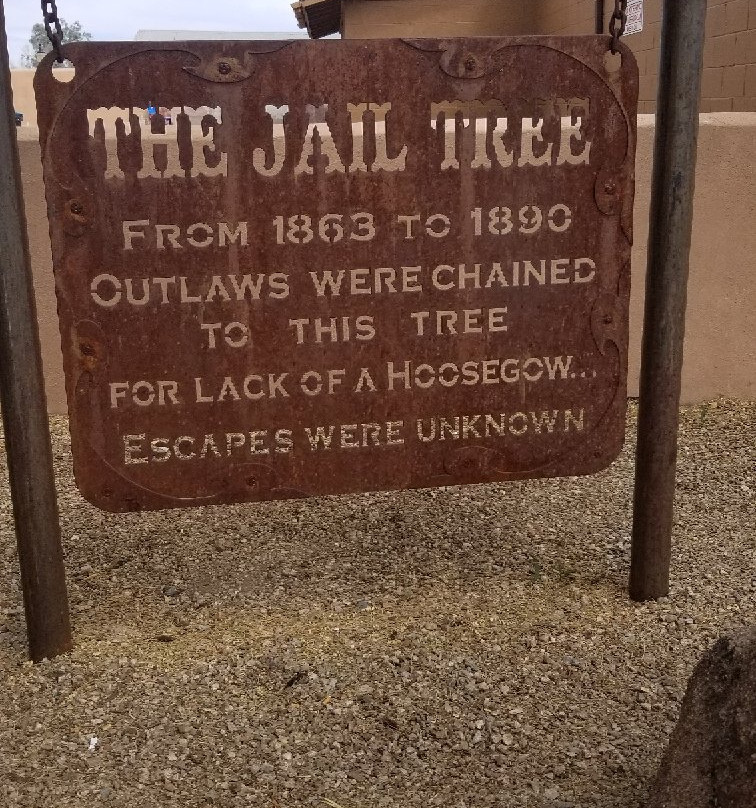 The Jail Tree-Wickenburg必去景点