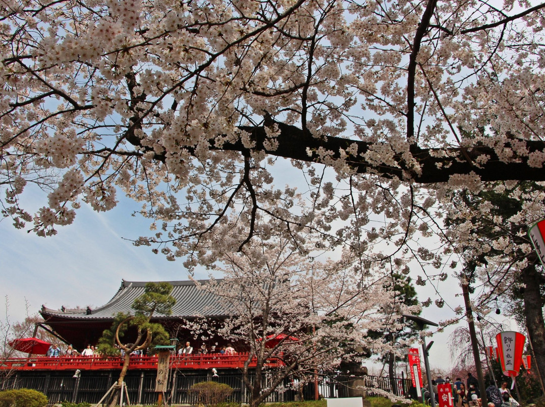Kiyomizu Kannon-do-Uenokoen必去景点