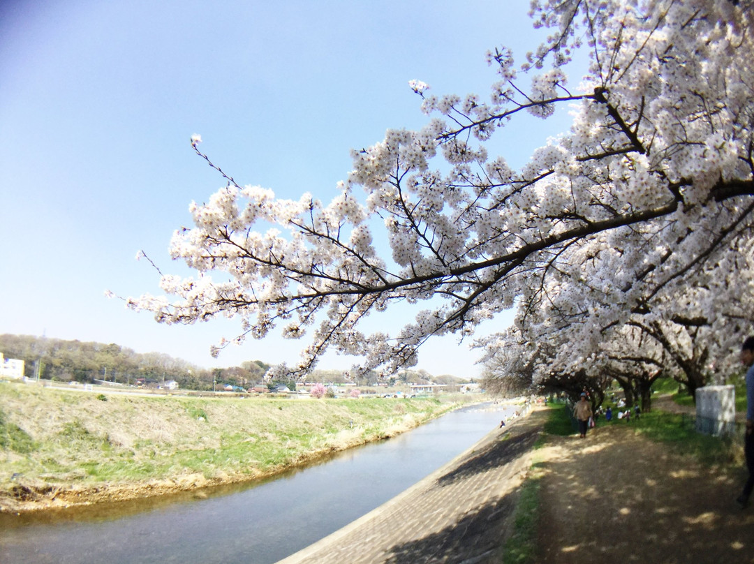 Kiyose Seseragi Park-清濑市必去景点