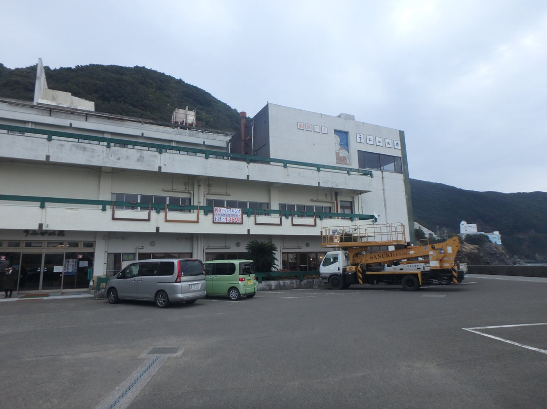 Kokumin no Yado Umigamesou主图
