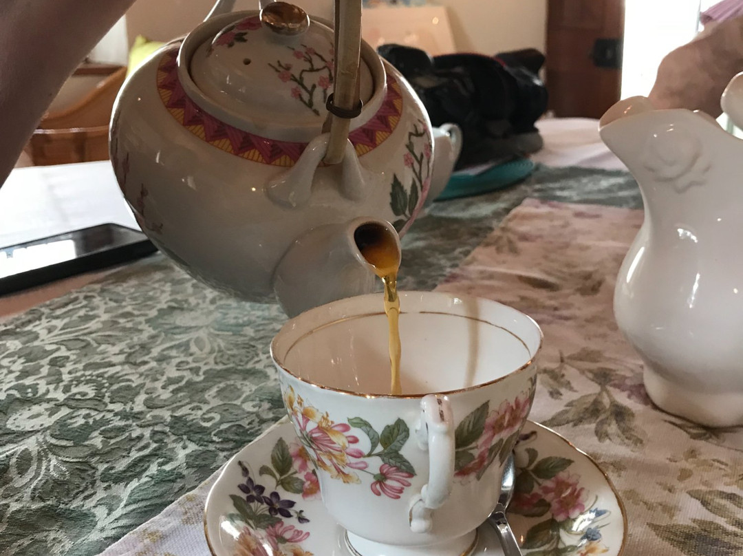 Gallery Route 62 & Penny's Place-Calitzdorp必去景点