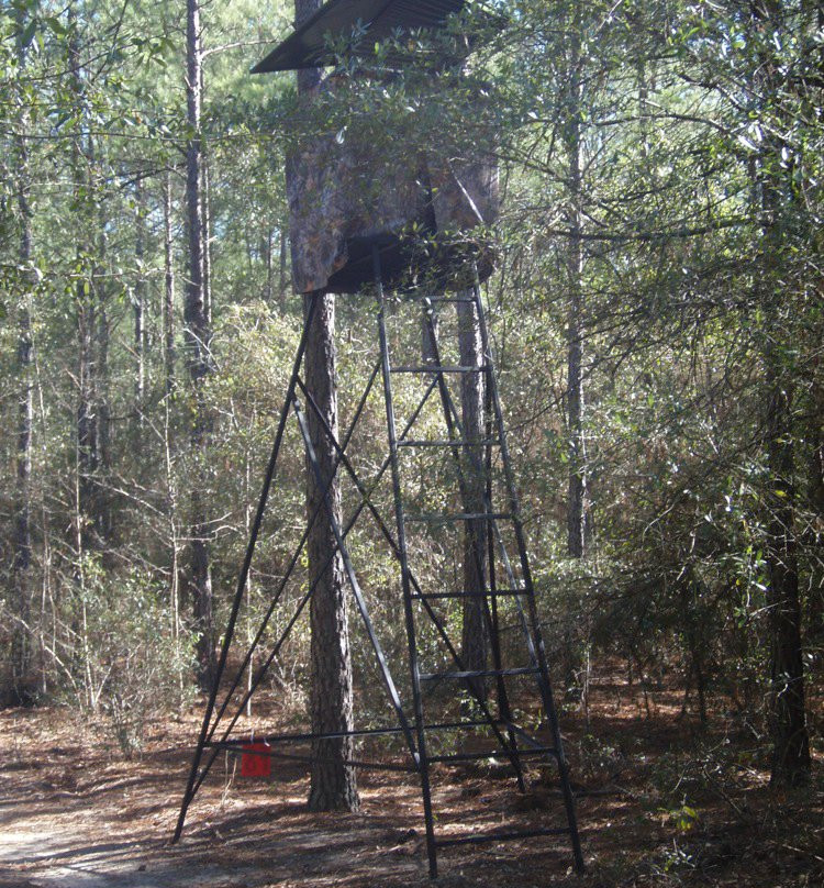 Allendale旅游攻略图片