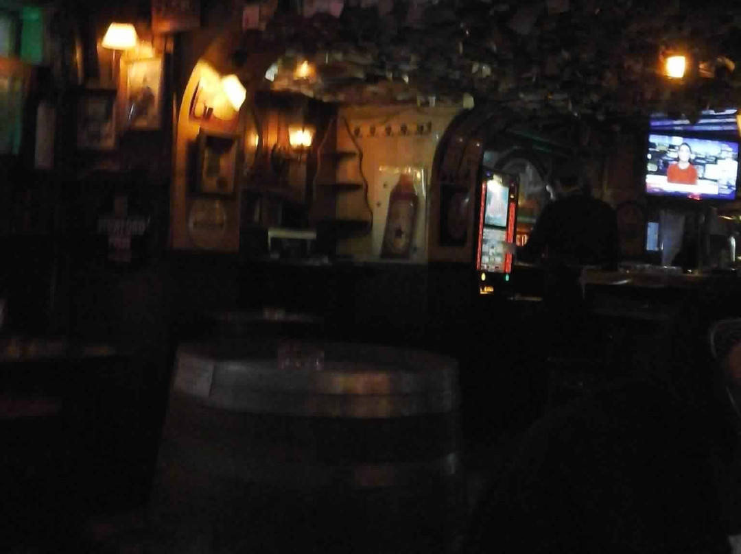 The Anglo Irish Pub - Frankfurt景点图片