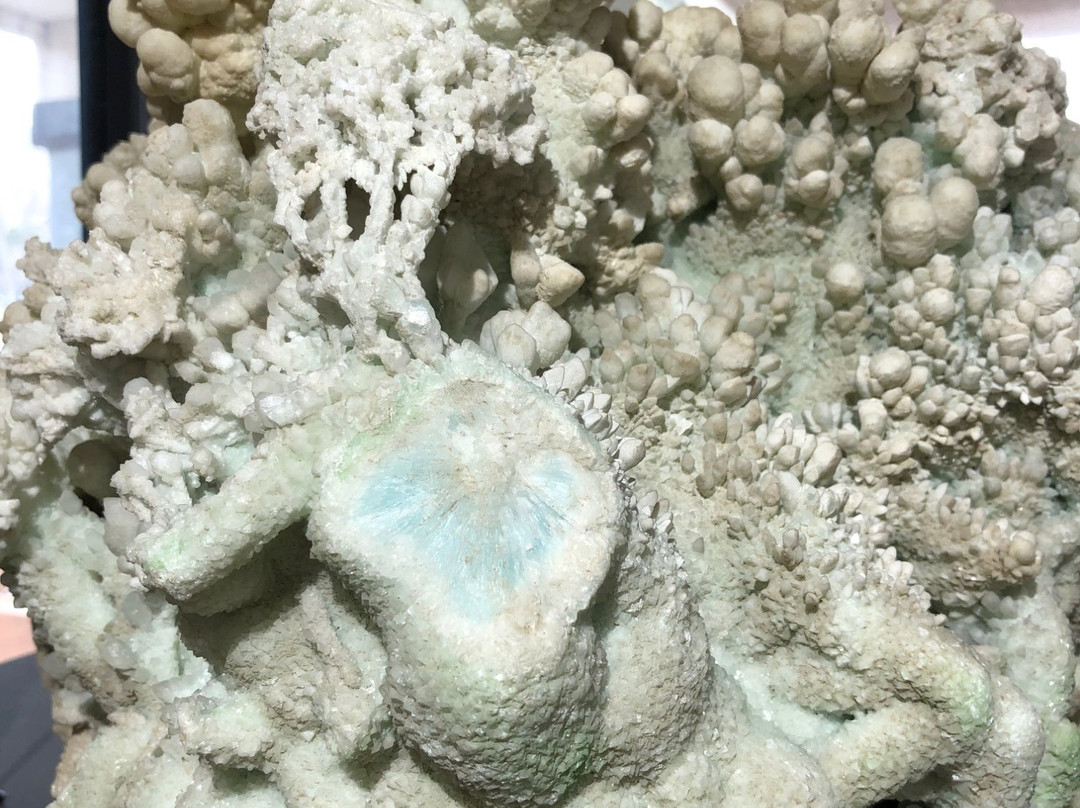 Rare Rock Shop-La Verkin必去景点