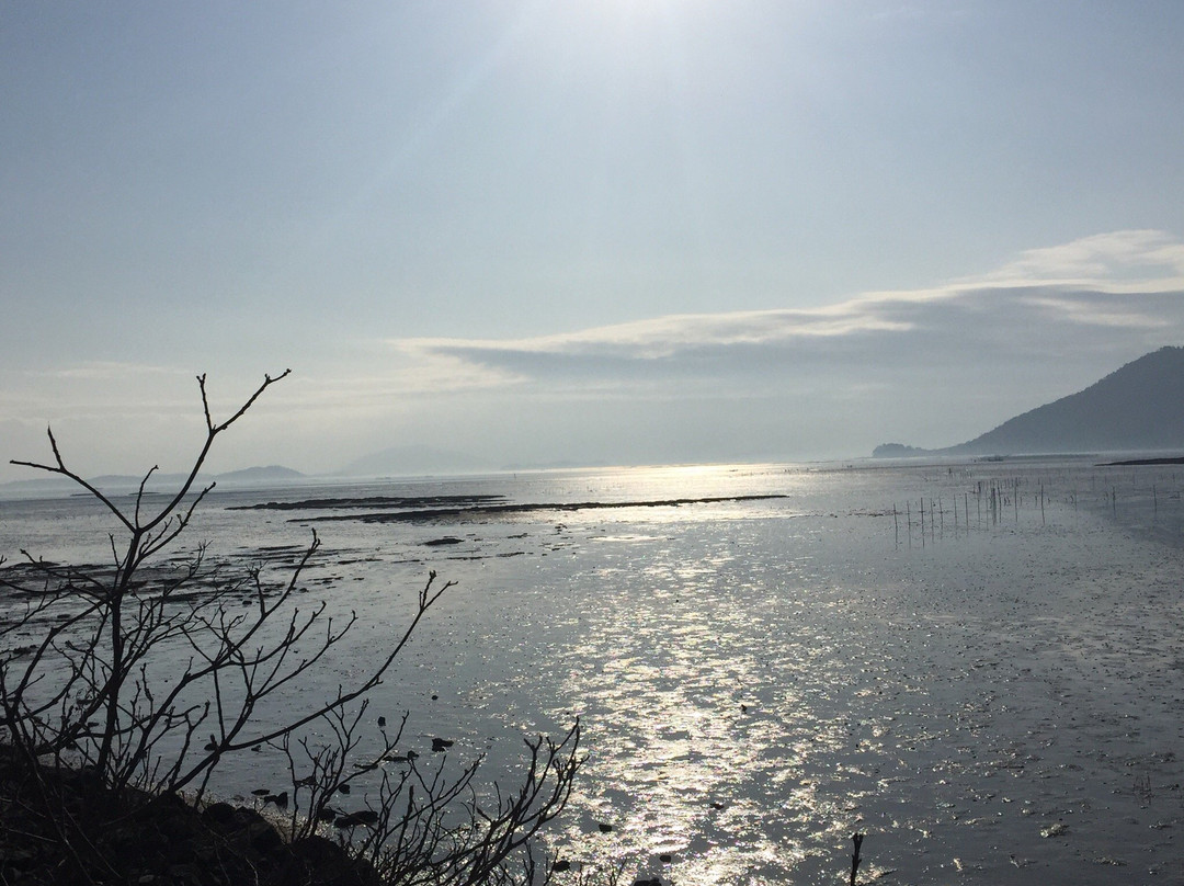 Waon Beach-顺天市必去景点