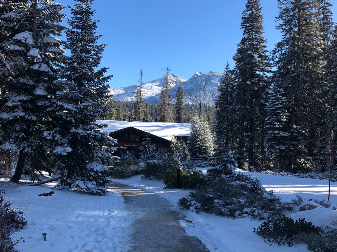 沃克萨奇村&小屋酒店主图
