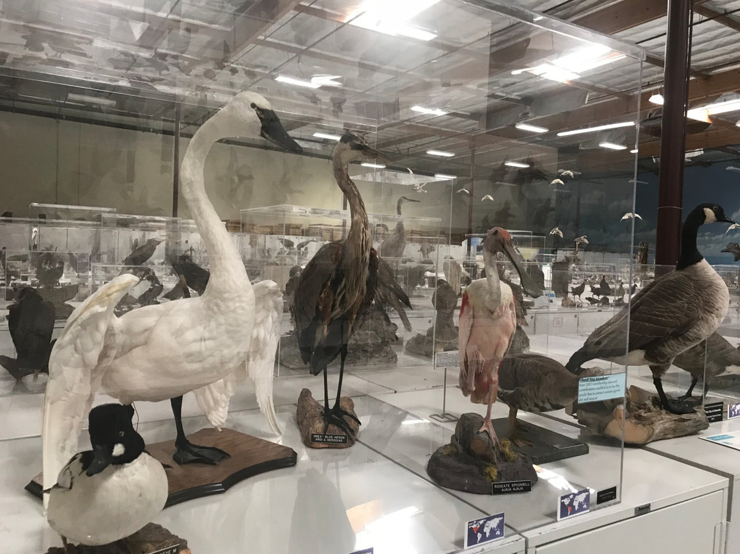 The Western Foundation of Vertebrate Zoology-卡马里奥必去景点