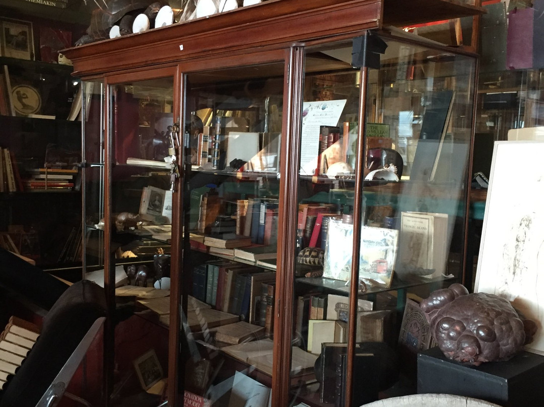 Quagga Rare Books and Art-Kalk Bay必去景点