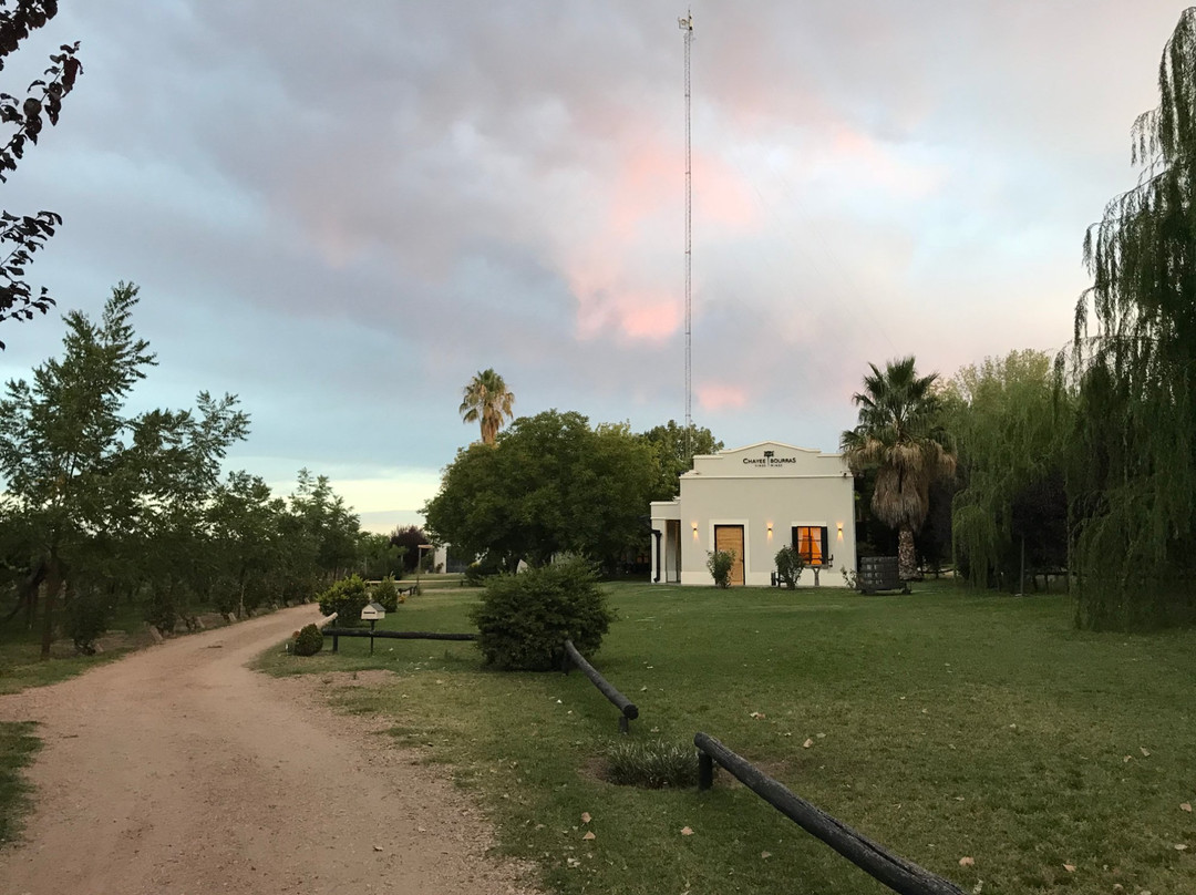 Bodega Chayee Bourras-圣拉斐尔必去景点