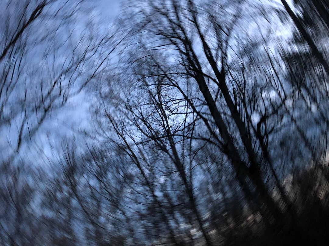 Cane Creek
