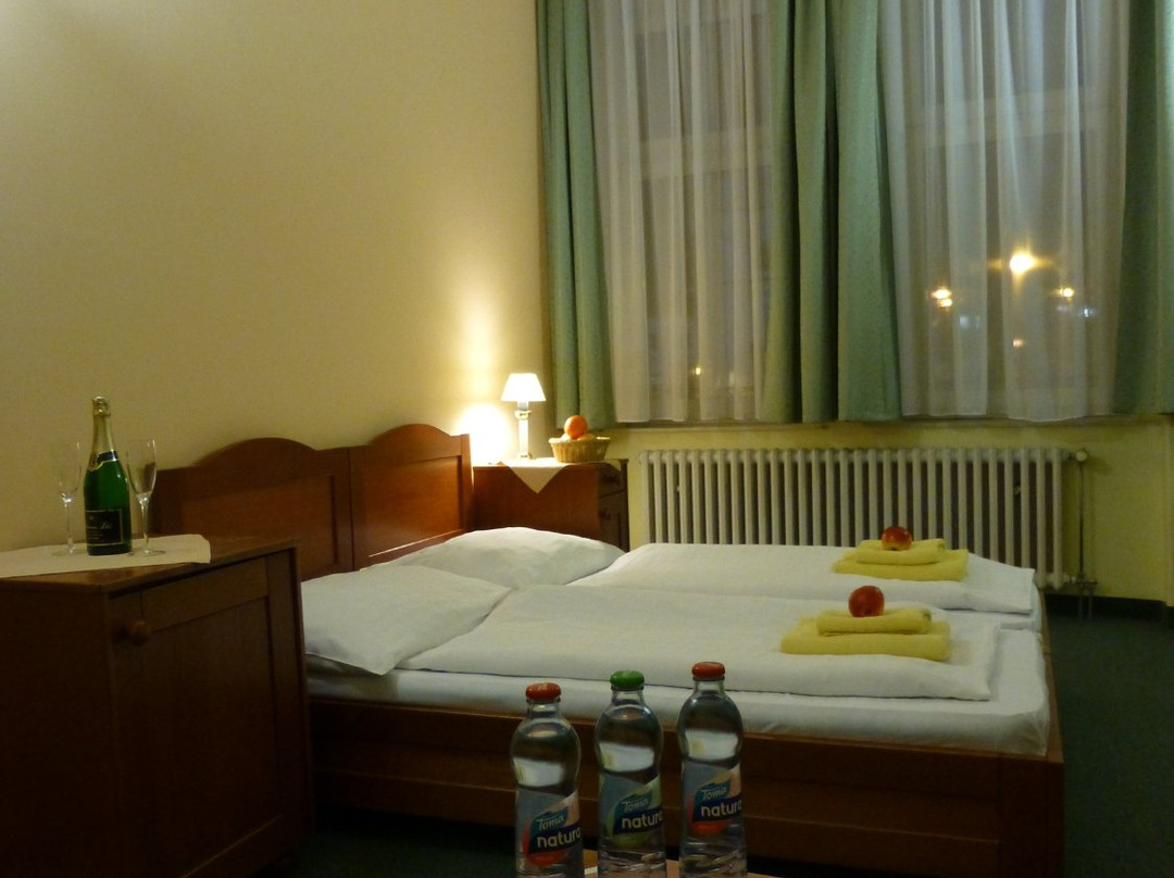 Hotel Korunni Princ主图