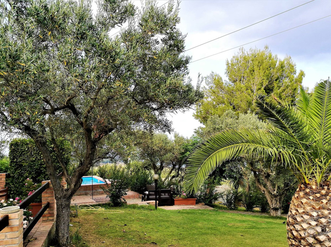 Residence Cassiodoro主图