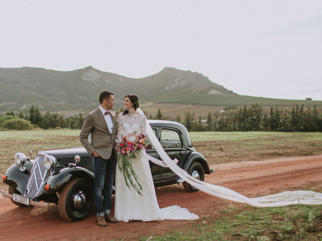 Vondeling Wines-帕尔必去景点