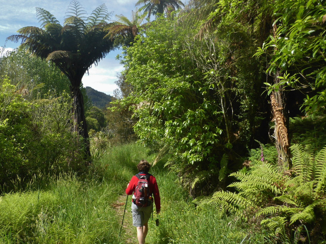 Waitawheta Tramway-陶兰加必去景点