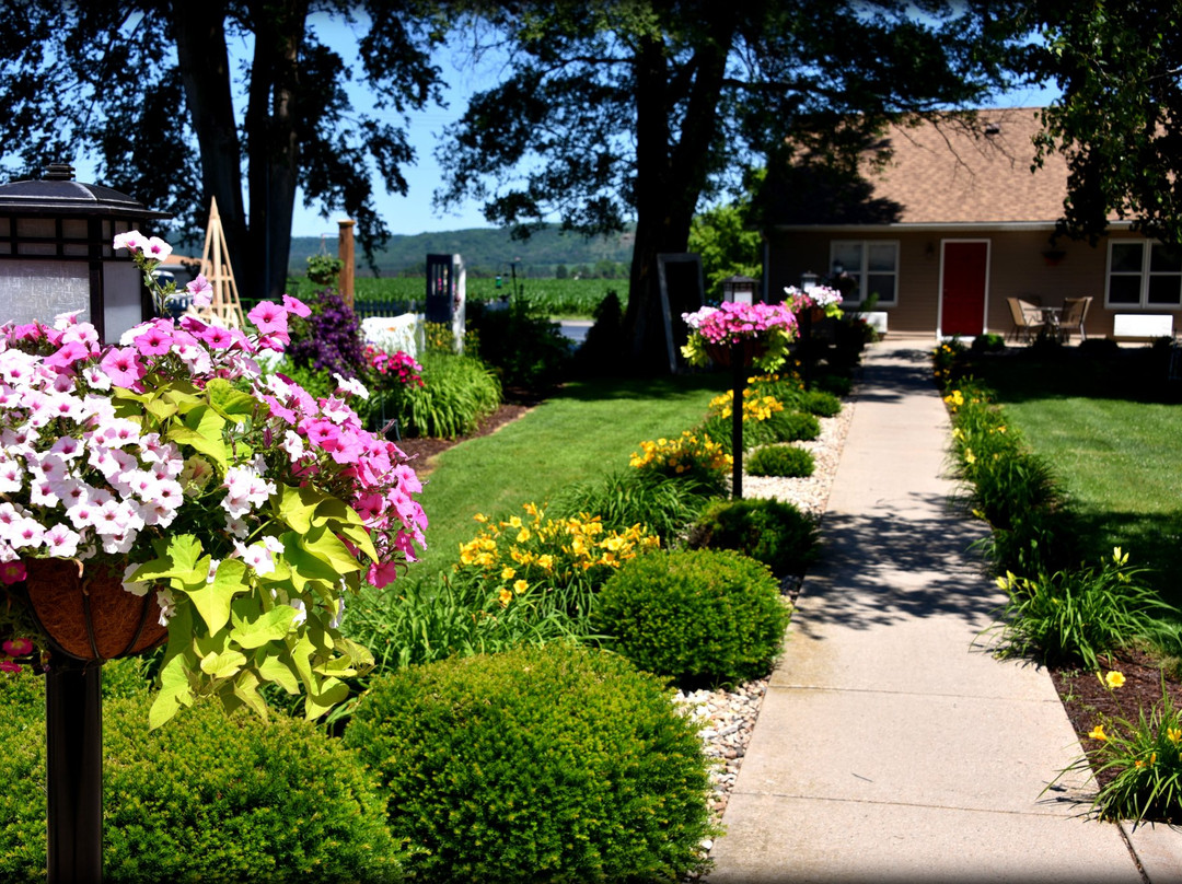 Spring Green Motel主图