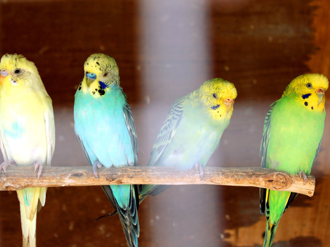 OYO 46316 Hotel Mandar Queen Retreat主图