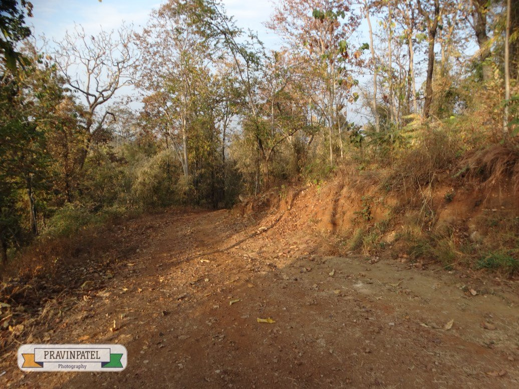 Achanakmar Wildlife Sanctuary景点图片