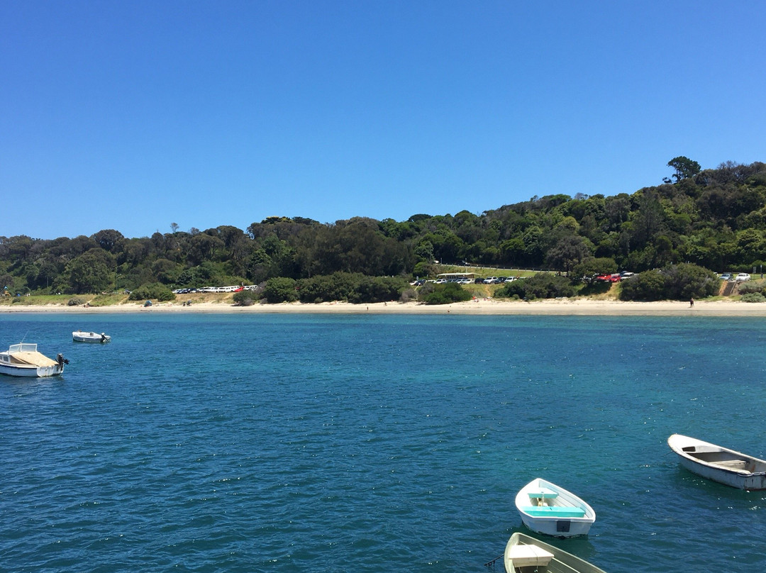 Flinders Beach景点图片