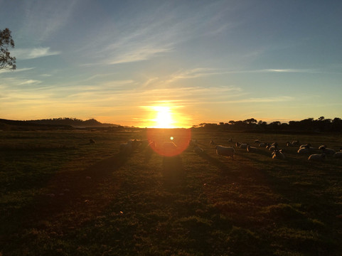 Dream Tours By-The-Sea-蒙特雷必去景点