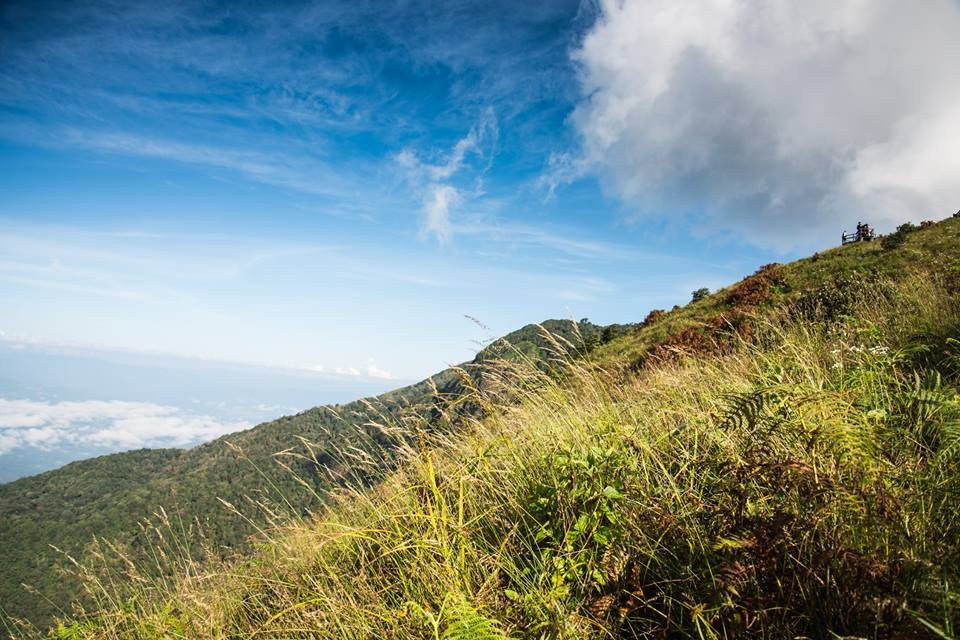 Go With Joe-清迈必去景点